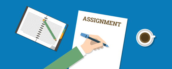 final assignment: assignment