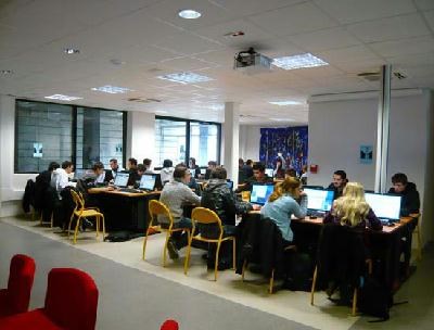 working experience: cril experience 